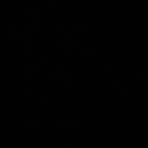 Meet your Posher, Shlomo